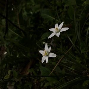 Meet your Posher, Jami